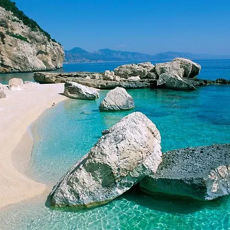 Conchiglie Cala Gonone