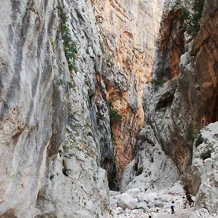 Conchiglie Appartement